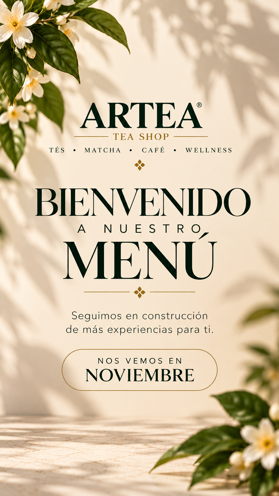 Menú Noviembre