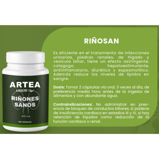 Tabletas Riñones Sanos RIÑOSAN Es eficiente en el tratamiento de infecciones urinarias, piedras renales, de hígado y vesícula biliar, tiene un efecto astringente, colagogo, hepatoestimulante, antiinflamatorio, diurético y espasmolítico. Además reduce los