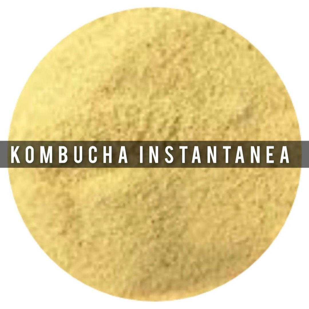 Kombucha Instantaneo 70g
Elaborado con té negro y con Scoby, tiene un proceso de microencapsulación patentado con fibra prebiótica para producir polvo de kombucha