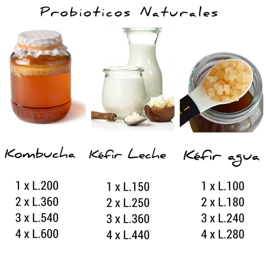 Kombucha , Kefir de agua, Kefir de Leche