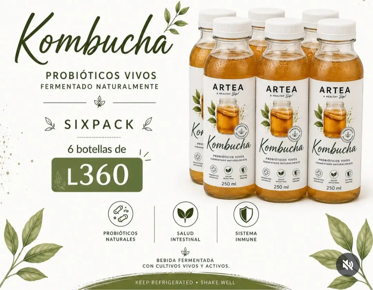 Sixpack Kombucha Viva