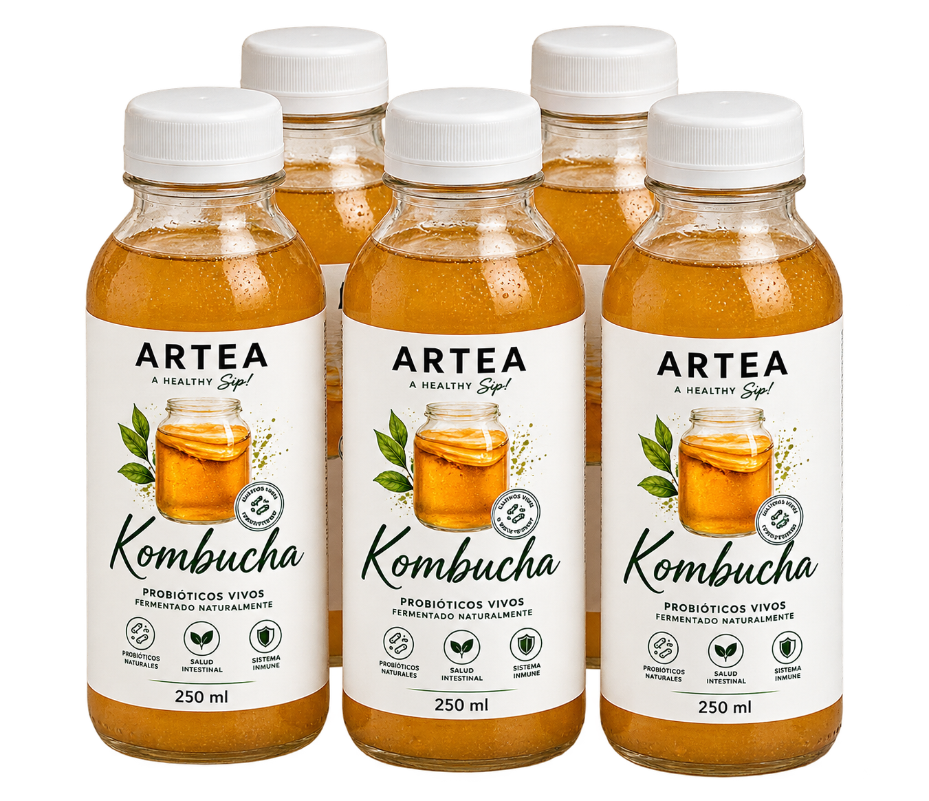 Sixpack de Kombucha natural viva