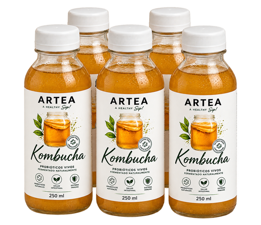 Sixpack de Kombucha natural viva