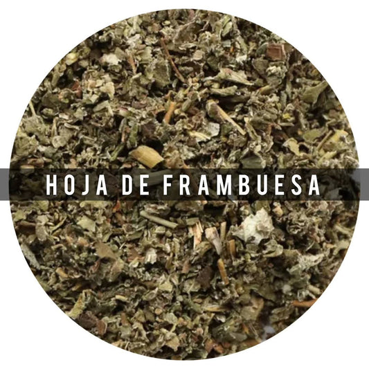 Hoja de Frambuesa sola