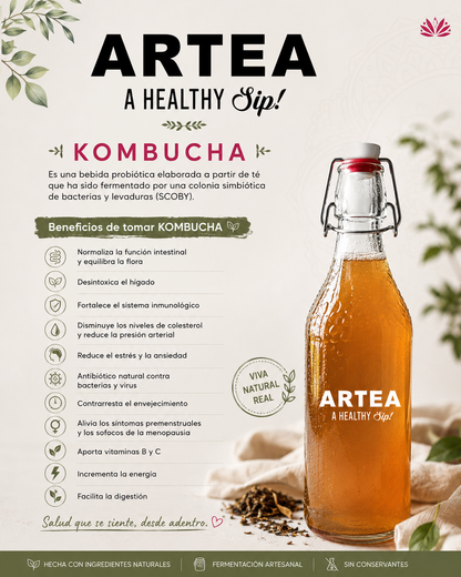 Kombucha viva natural